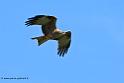 milan_6173