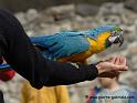 arableu_0518