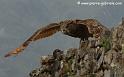 grandduc_1564