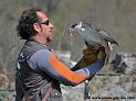 fauconniers_5052