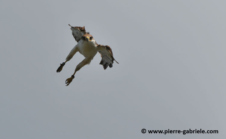 buse-des-augures_4603.jpg