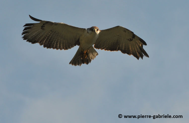 buse-des-augures_4824.jpg