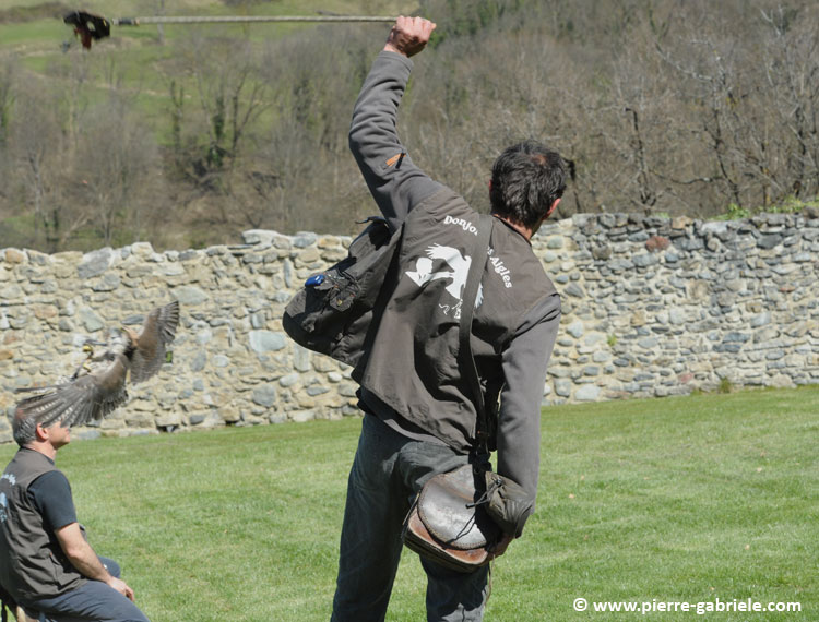 fauconniers_-5556.jpg