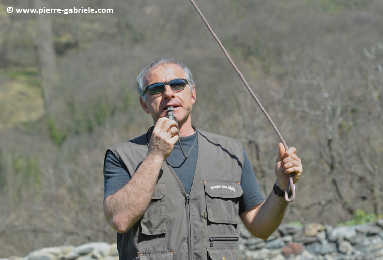 fauconniers_-5563.jpg