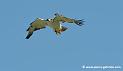 buse-des-augures_-5618