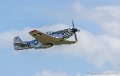 mustang_0983