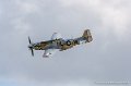 mustang_0987