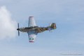 mustang_0991