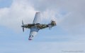 mustang_0992