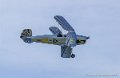 stampe_0597