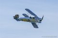 stampe_0598