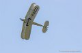 stampe_0743