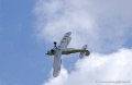 stampe_0752