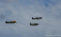 warbirds_1199