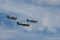 warbirds_1210