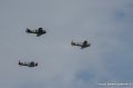 warbirds_1217