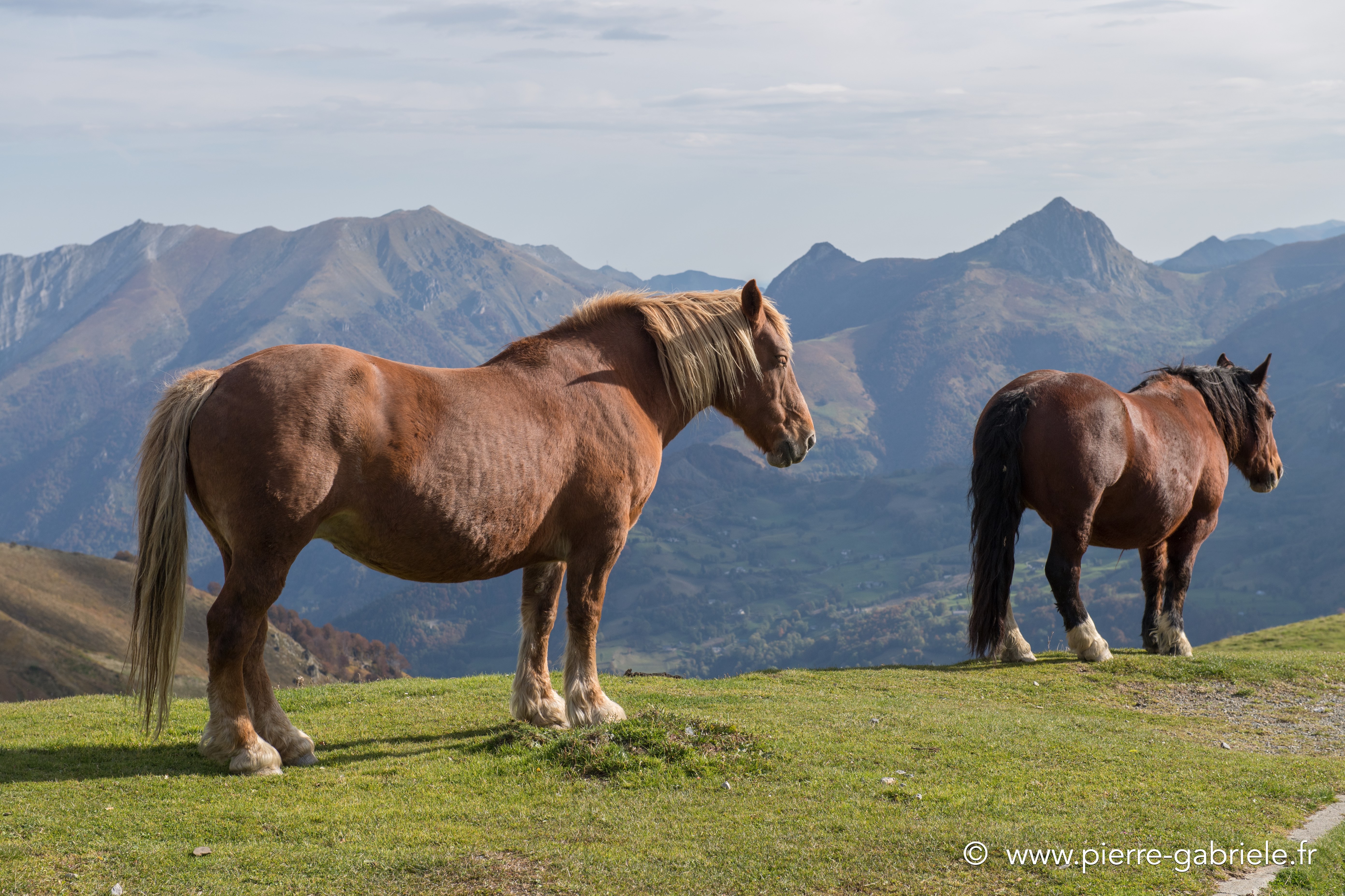 aubisque-soulor-10-2016_5391.jpg