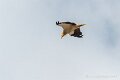 lescun-03-2013_5459