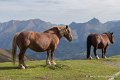 aubisque-soulor-10-2016_5391