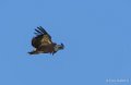 gourette-a74_00068