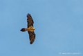 lescun-03-2013_5382
