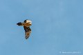 lescun-03-2013_5383
