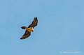 lescun-03-2013_5384