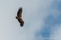 lescun-03-2013_5414