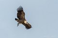 lescun-03-2013_5420