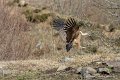 lescun-03-2013_5423