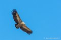 lescun-03-2013_5432