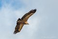lescun-03-2013_5444