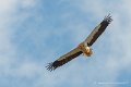lescun-03-2013_5452