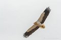 lescun-03-2013_5453