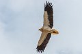 lescun-03-2013_5454