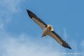 lescun-03-2013_5456