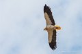 lescun-03-2013_5474