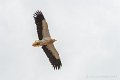 lescun-03-2013_5475