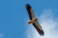 lescun-03-2013_5477