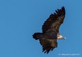 pierre-st-martin-g92_7388