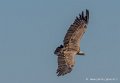 pierre-st-martin-g92_7390
