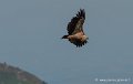 pierre-st-martin-g92_7412
