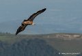 pierre-st-martin-g92_7413
