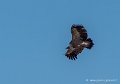 pierre-st-martin-g92_7415