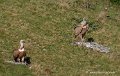 pierre-st-martin-g92_7424