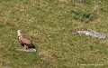 pierre-st-martin-g92_7428