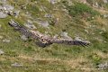 pierre-st-martin-g92_7429