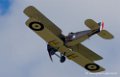 bristol-fighter_0206