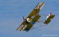caudron-g3_0149