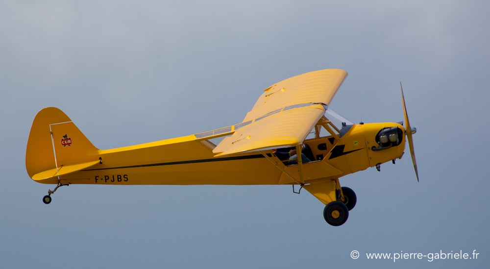 piper_0530.jpg